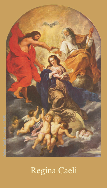 *BILINGUAL* Regina Caeli Prayer Card (Latin/English)***BUYONEGETONEFREE***